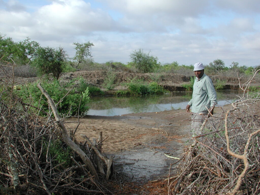 Mr. Mkanza at his charco pond (bwawa), Makanya